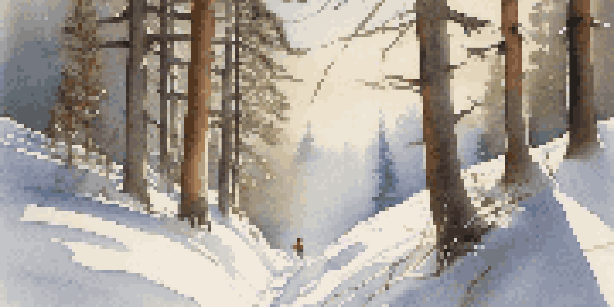 A peaceful winter hiking trail surrounded by frosted pine trees and sparkling snow under soft morning light.