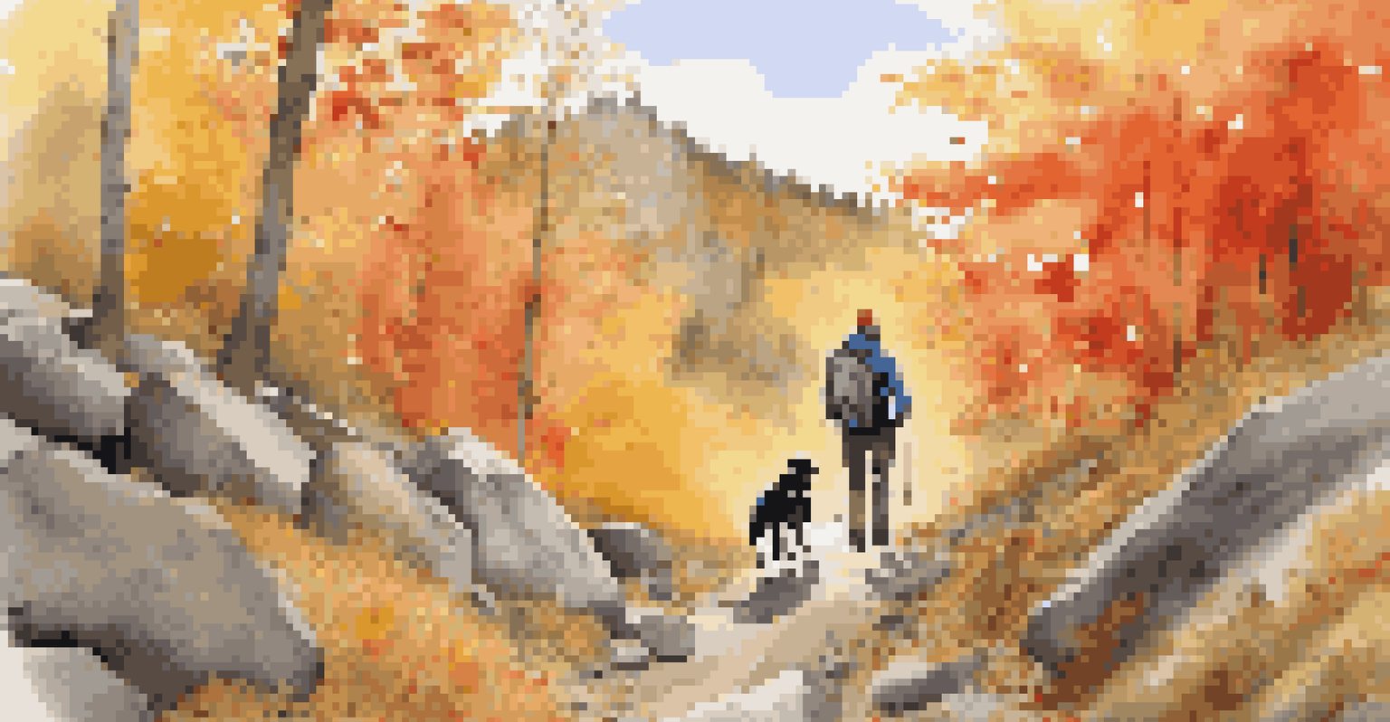 A man and his border collie dog hiking on a rocky trail surrounded by colorful autumn foliage.