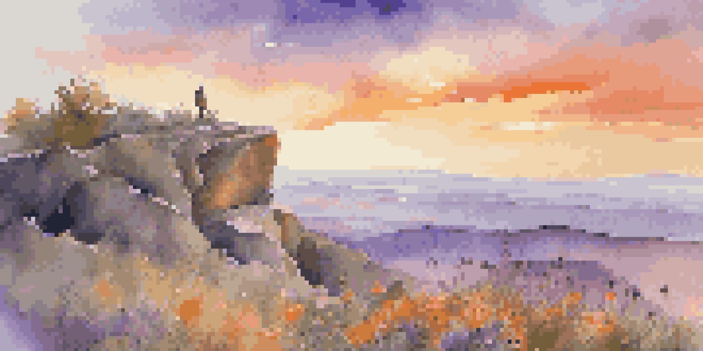 A traveler on a cliff at sunset, with colorful skies and flowers in the foreground.