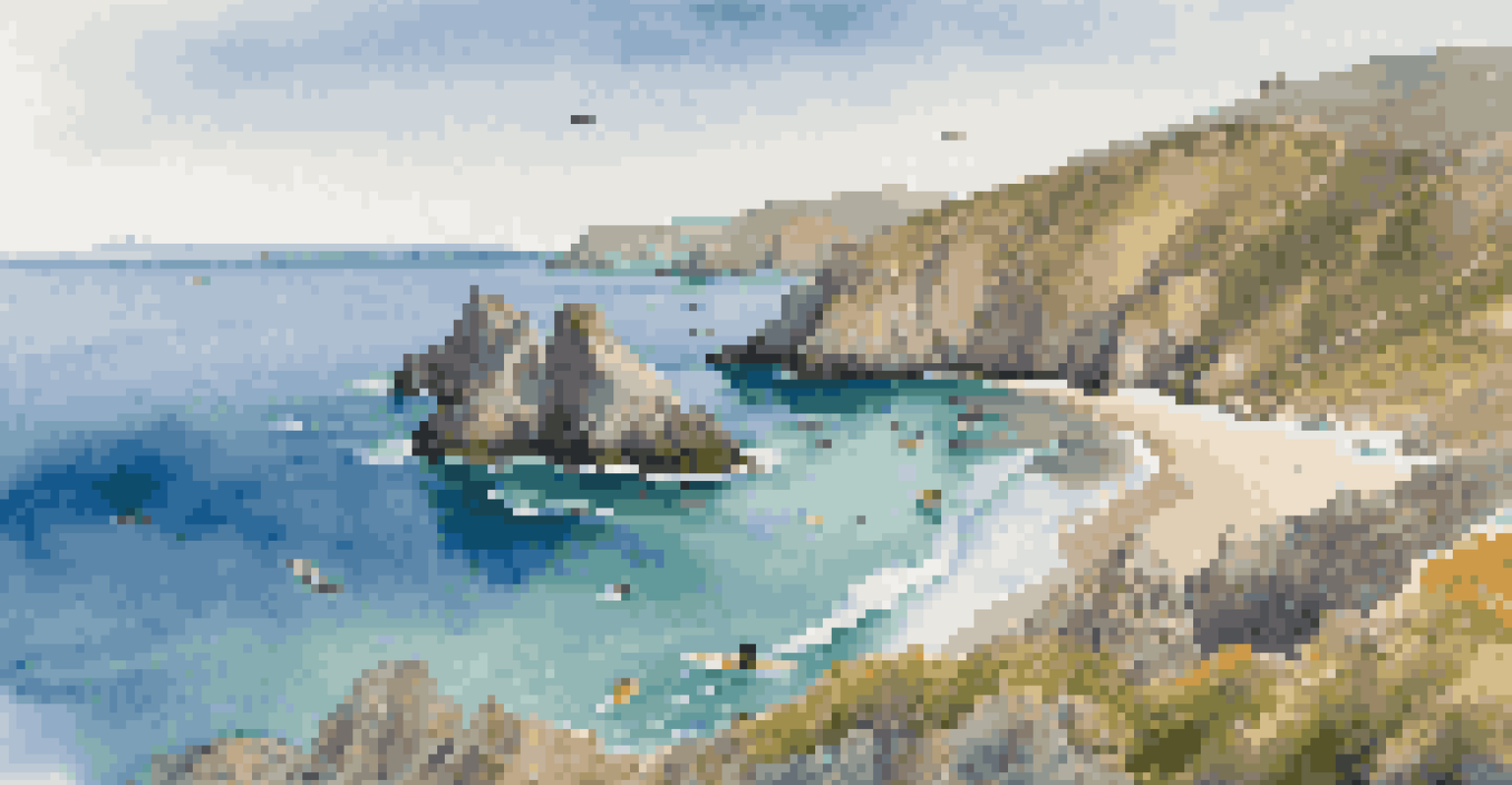 Aerial view of Channel Islands National Park with kayakers and sea lions in clear waters.