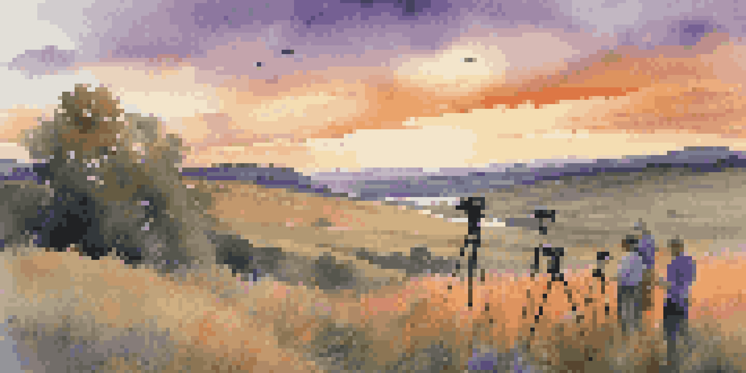 A scenic landscape at sunset with photographers capturing the view, surrounded by wildflowers and a river.