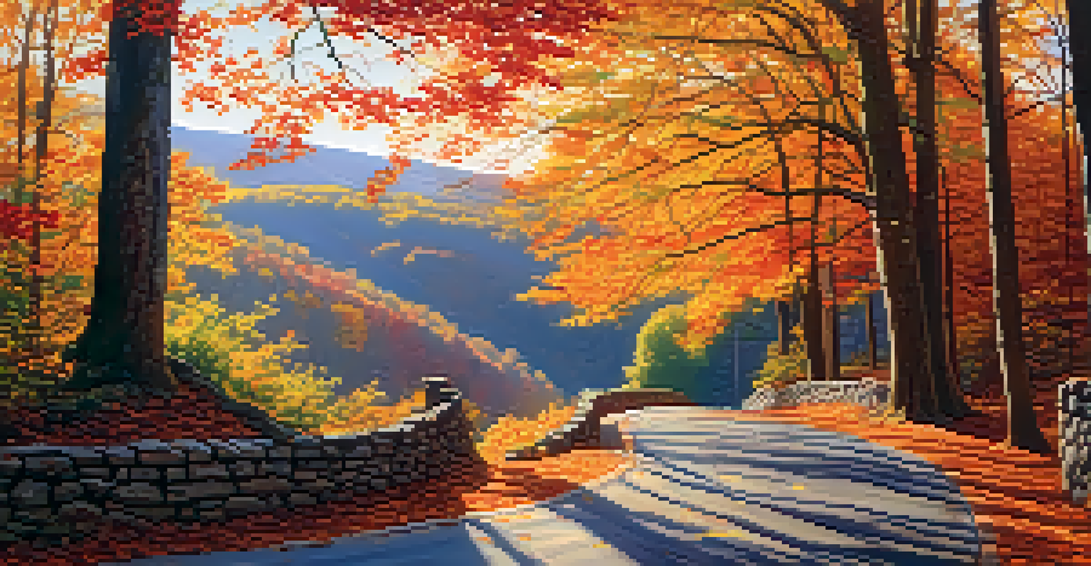 Autumn view of the Blue Ridge Parkway with colorful fall foliage and a winding road, featuring dappled sunlight.