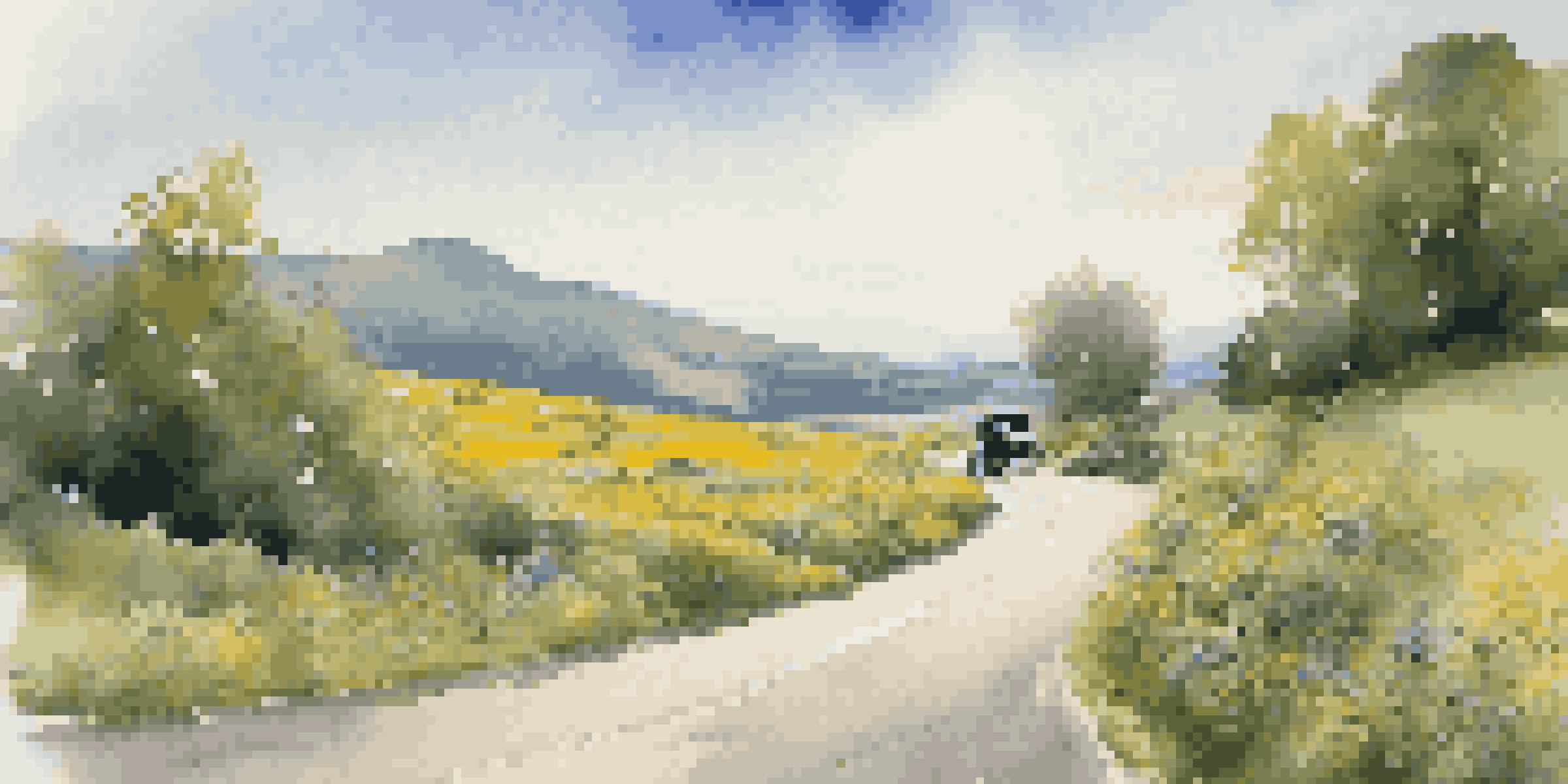 A traveler beside a vintage car on a winding road surrounded by greenery and wildflowers, looking at a map.