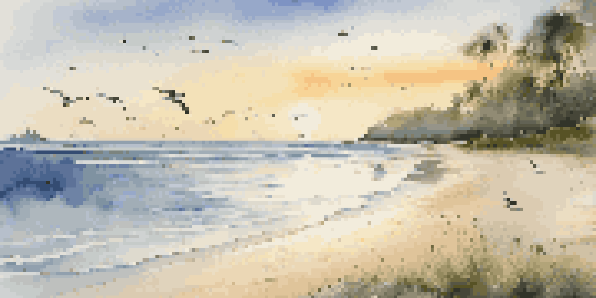 A beach at sunrise with a pristine shoreline contrasted by scattered litter, seagulls flying above, and tropical vegetation in the background.