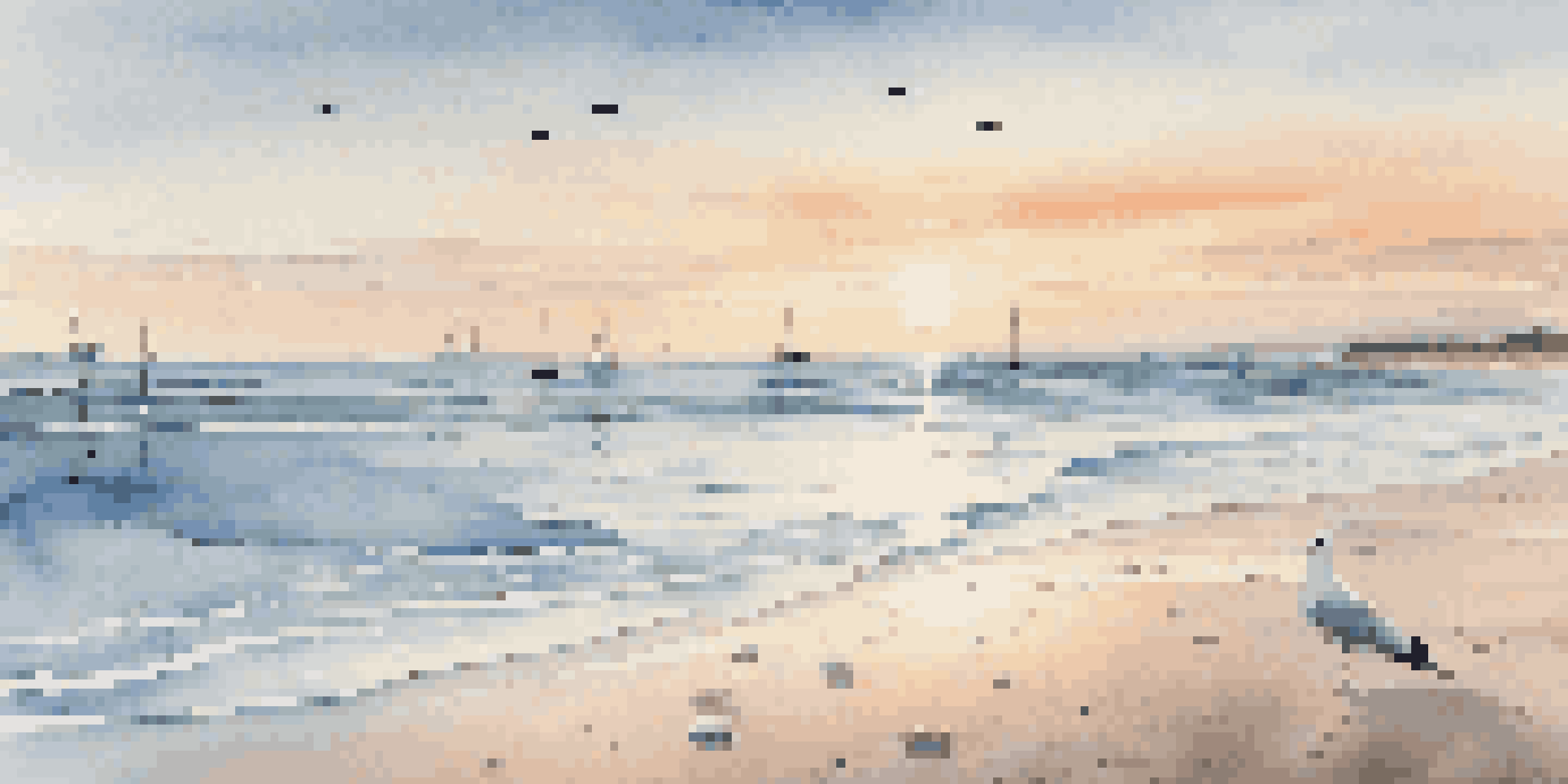 A peaceful beach at sunrise with pastel colors, gentle waves, seashells, and a flying seagull.
