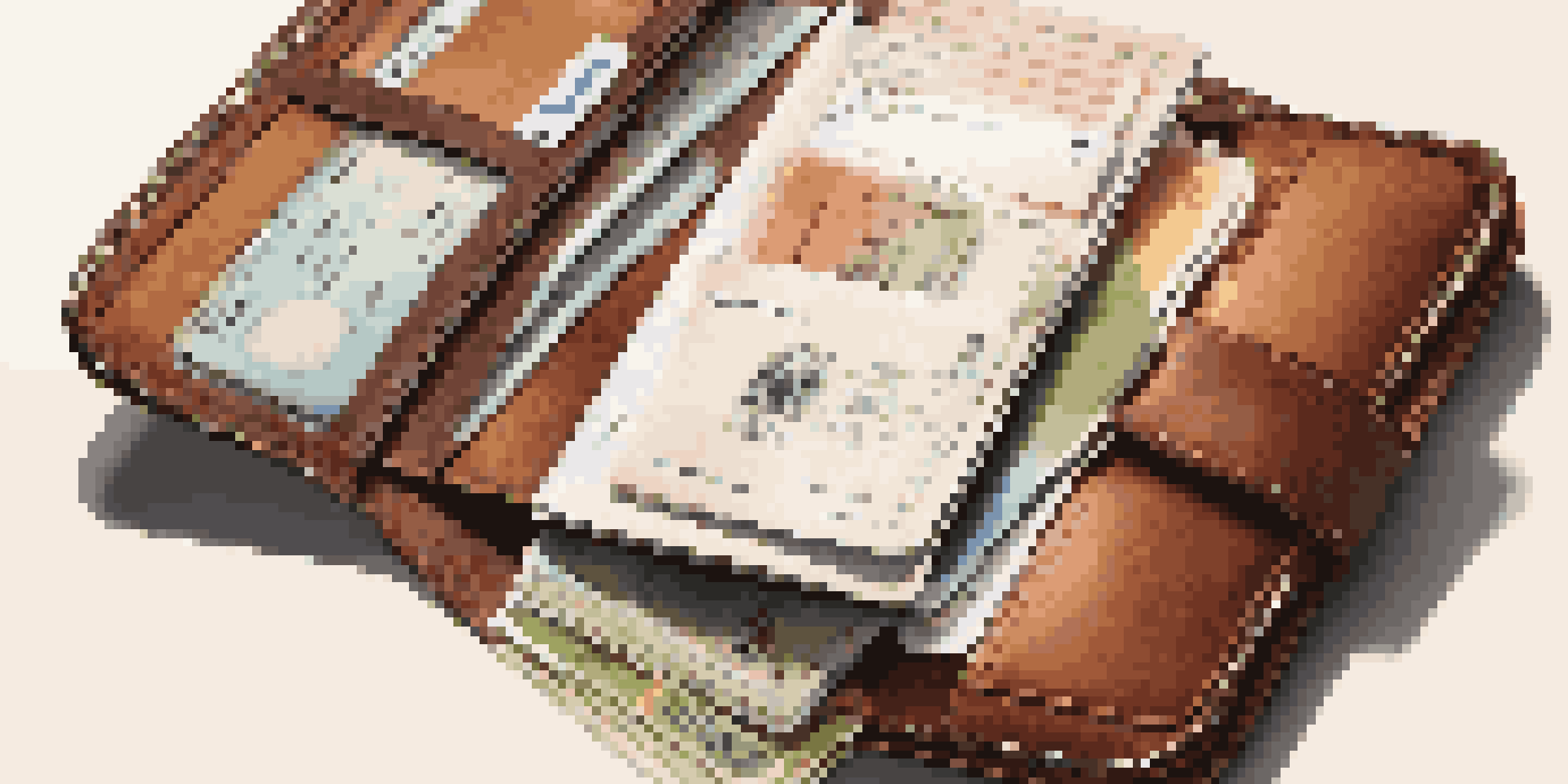 An open travel wallet containing a passport, cruise tickets, and health documents under warm lighting.