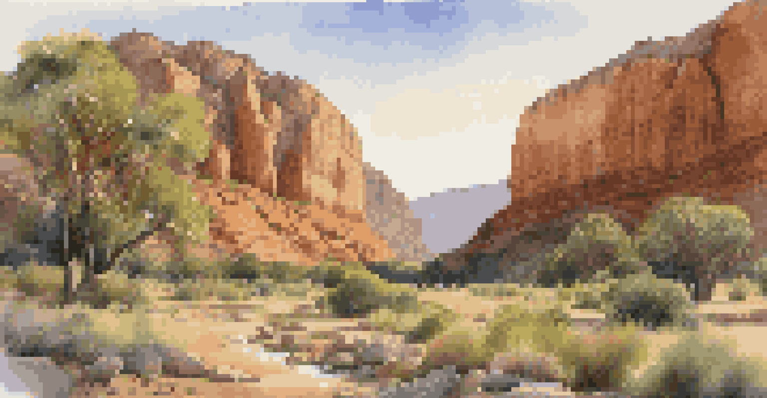 A panoramic view of Kings Canyon at golden hour, showcasing warm light on cliffs and a tranquil waterhole surrounded by greenery.