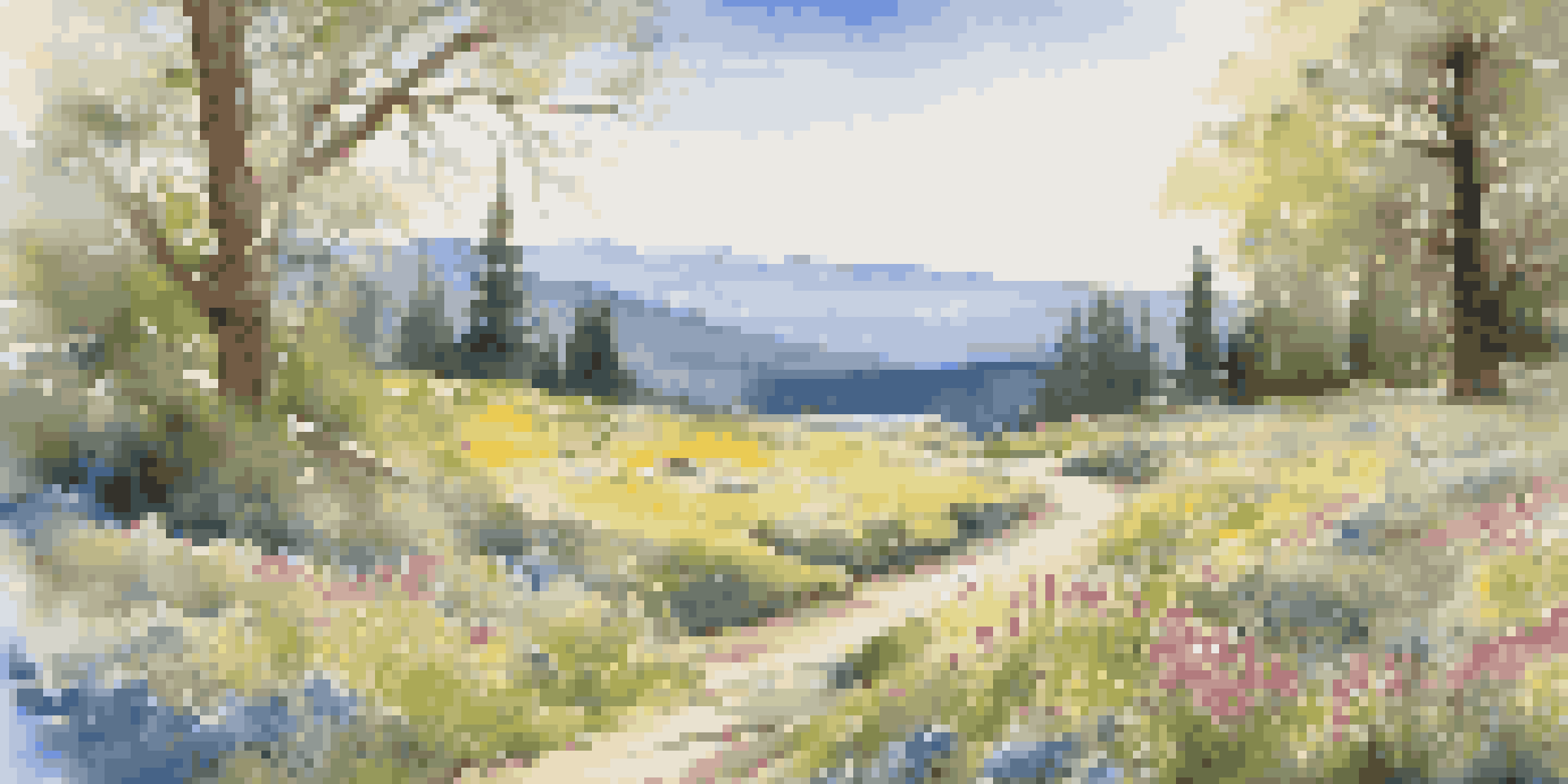 A picturesque view of a national park in spring, filled with colorful wildflowers and a winding trail under a clear blue sky.