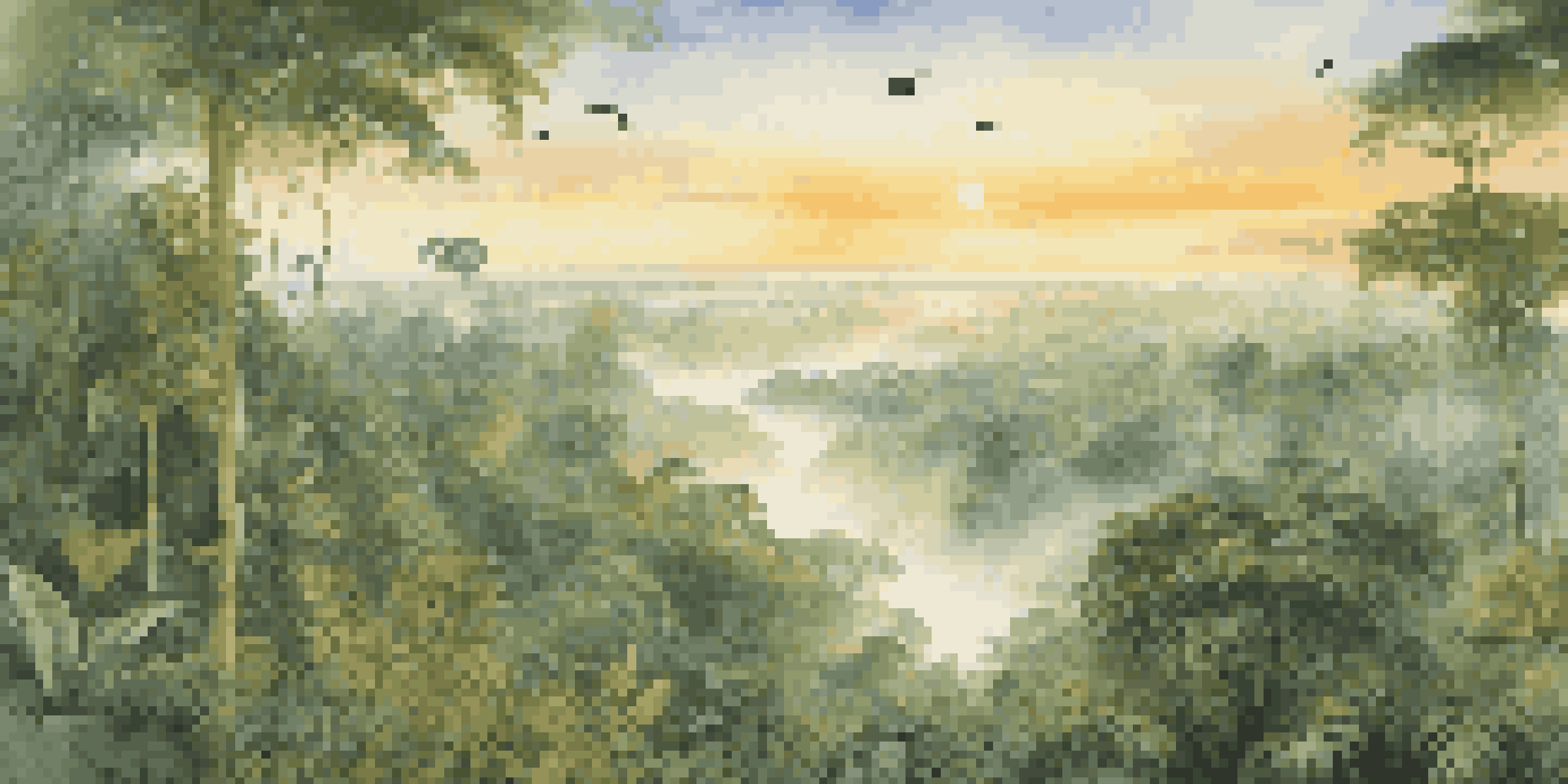 A panoramic view of the Amazon Rainforest at sunrise with lush green foliage and birds flying in the sky.
