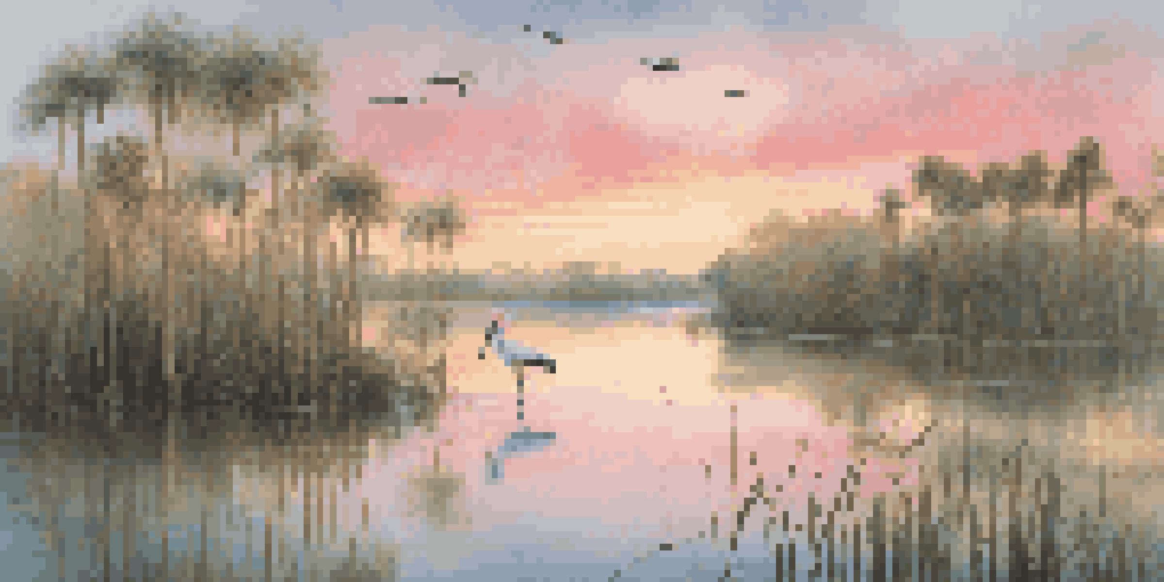 A tranquil scene in Everglades National Park at dawn, featuring a roseate spoonbill in wetlands with colorful skies.