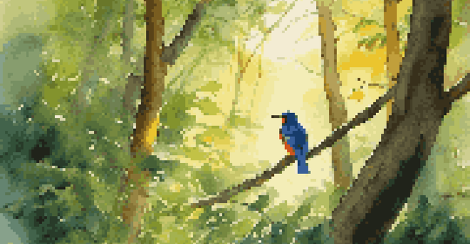 A birdwatcher in a forest observing a colorful bird in the morning light.