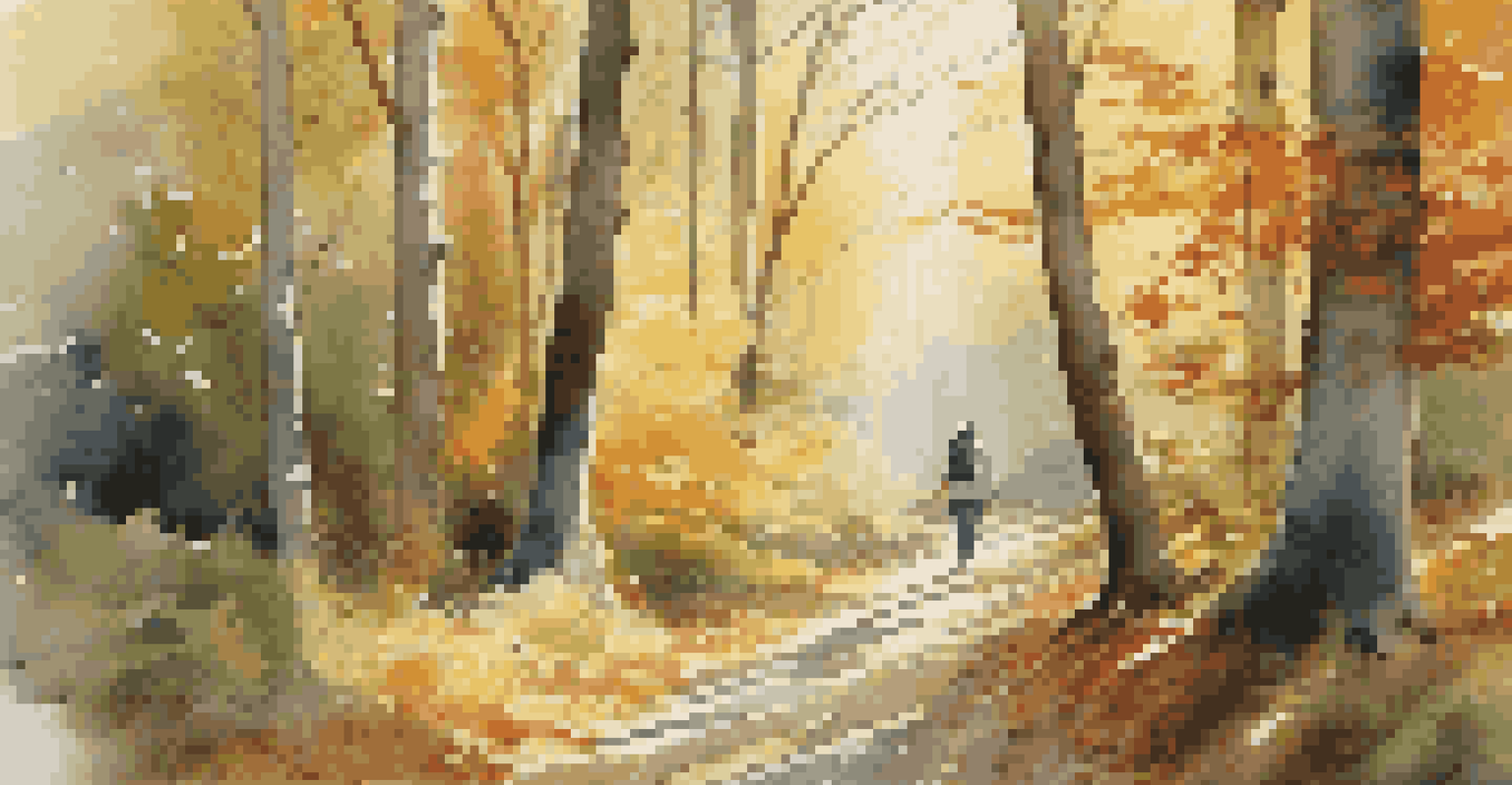 A winding hiking trail in a forest with autumn leaves and sunlight filtering through the trees, featuring a person walking.