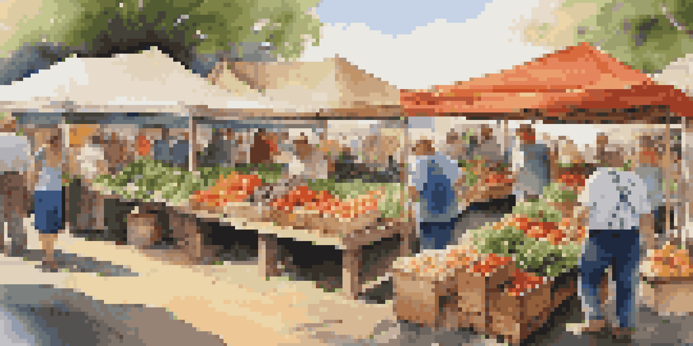 A lively farmer's market filled with colorful fruits and vegetables, with local farmers engaging with visitors under a sunny sky.