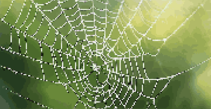 A detailed close-up of a spider web covered in dew, with blurred green foliage in the background.