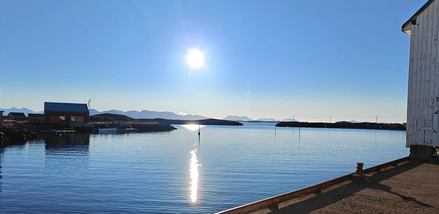 Bud sauna bildet over Bud havn og molo