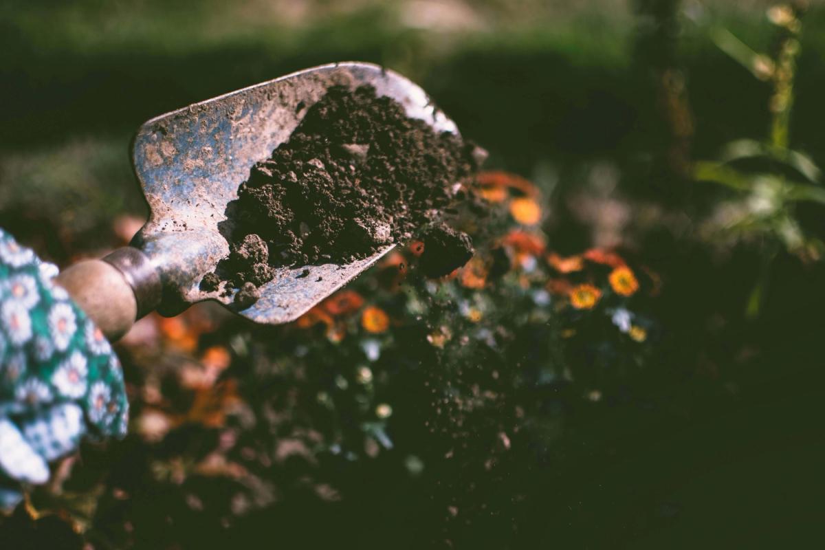 Weeding your garden