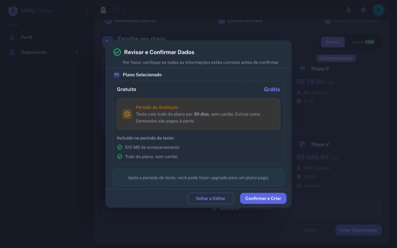 Resumo antes de criar a organização