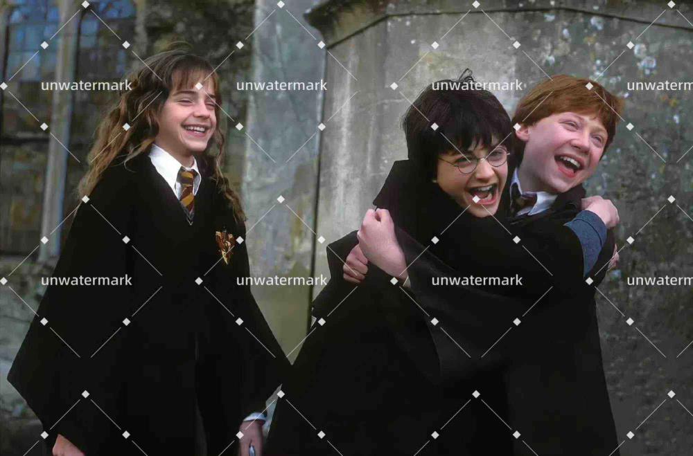 image of Unwatermark AI