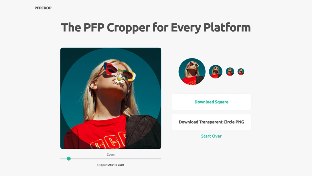image of PFP Cropper