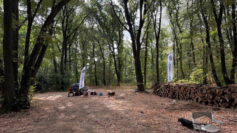Čistina sa streljačkim mestima uz naslagana drva na Fruškoj gori