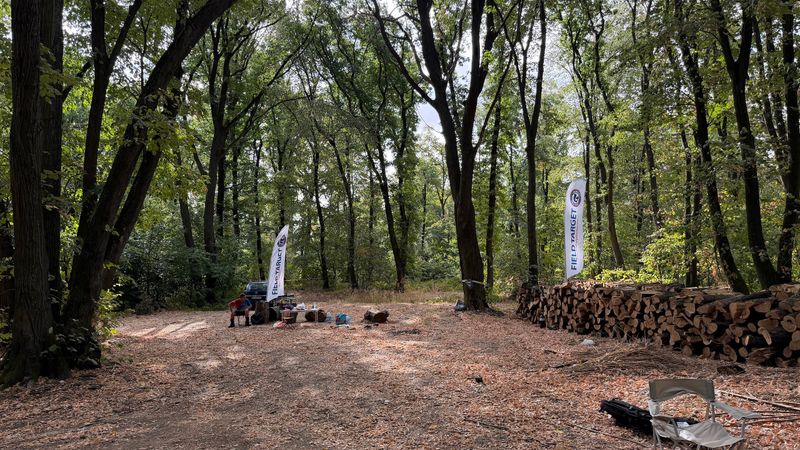 Čistina sa streljačkim mestima uz naslagana drva na Fruškoj gori