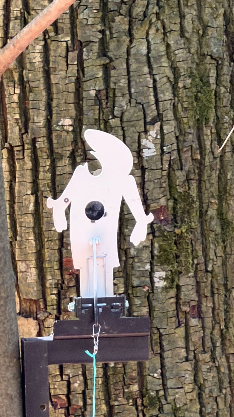 Metalna Field Target silueta postavljena na stablo