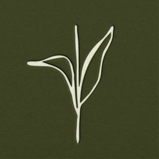 Sol Cleanse logo