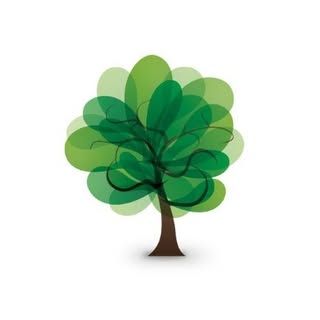 Forest Superfoods logo