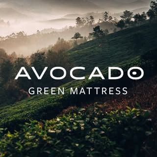 Avocado Green Mattress logo