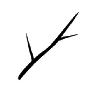 Branch Utensils logo