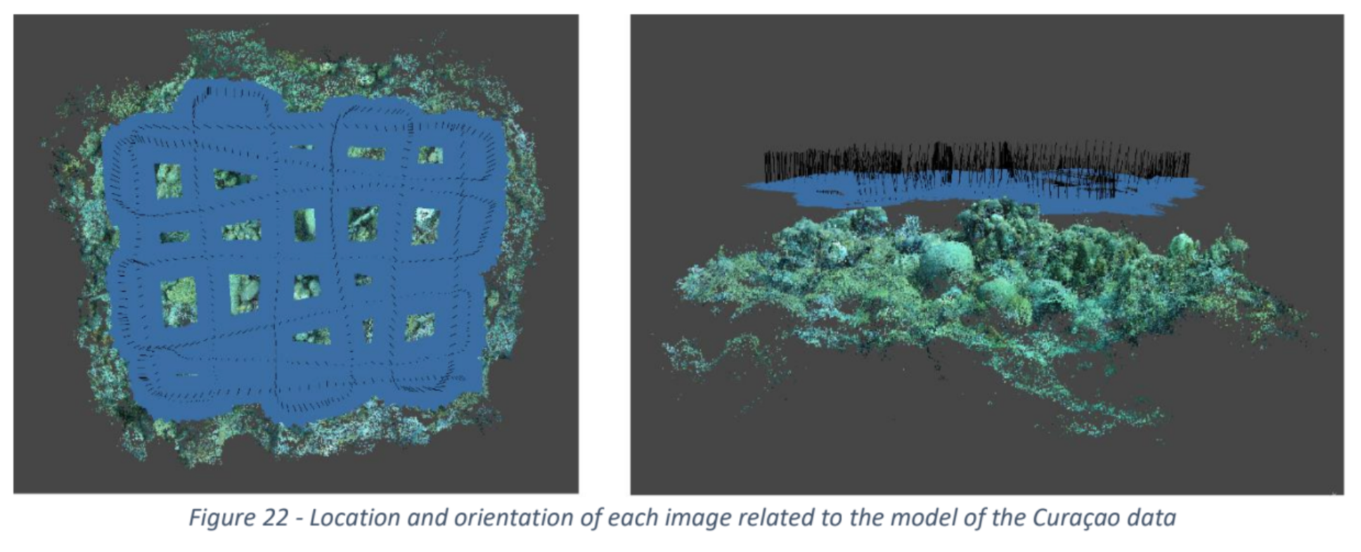 Thesis:Marc Baauw (3D Photogrammetry for Coral Reef Monitoring)