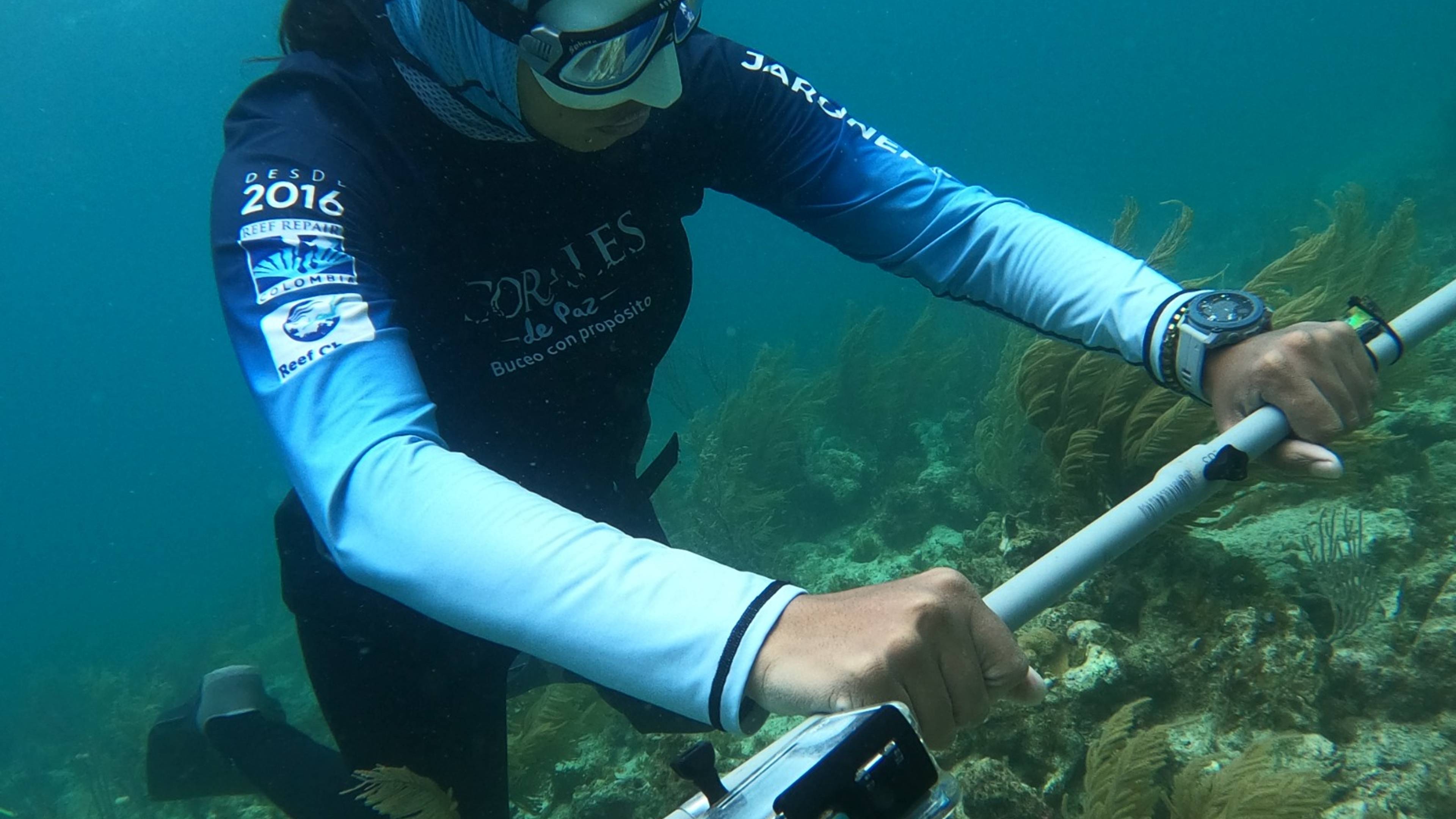 Revolutionizing Coral Reef Conservation with Technology