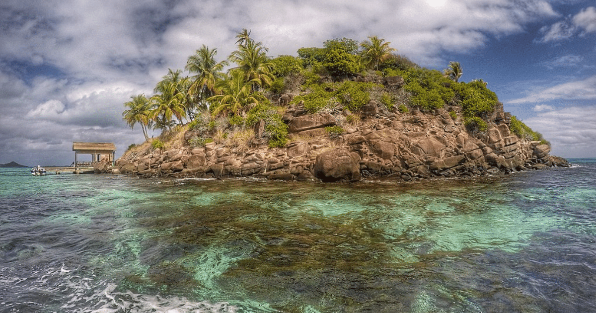 The Scuba Diving Volunteers Protecting Coral Reefs in the Caribbean ...