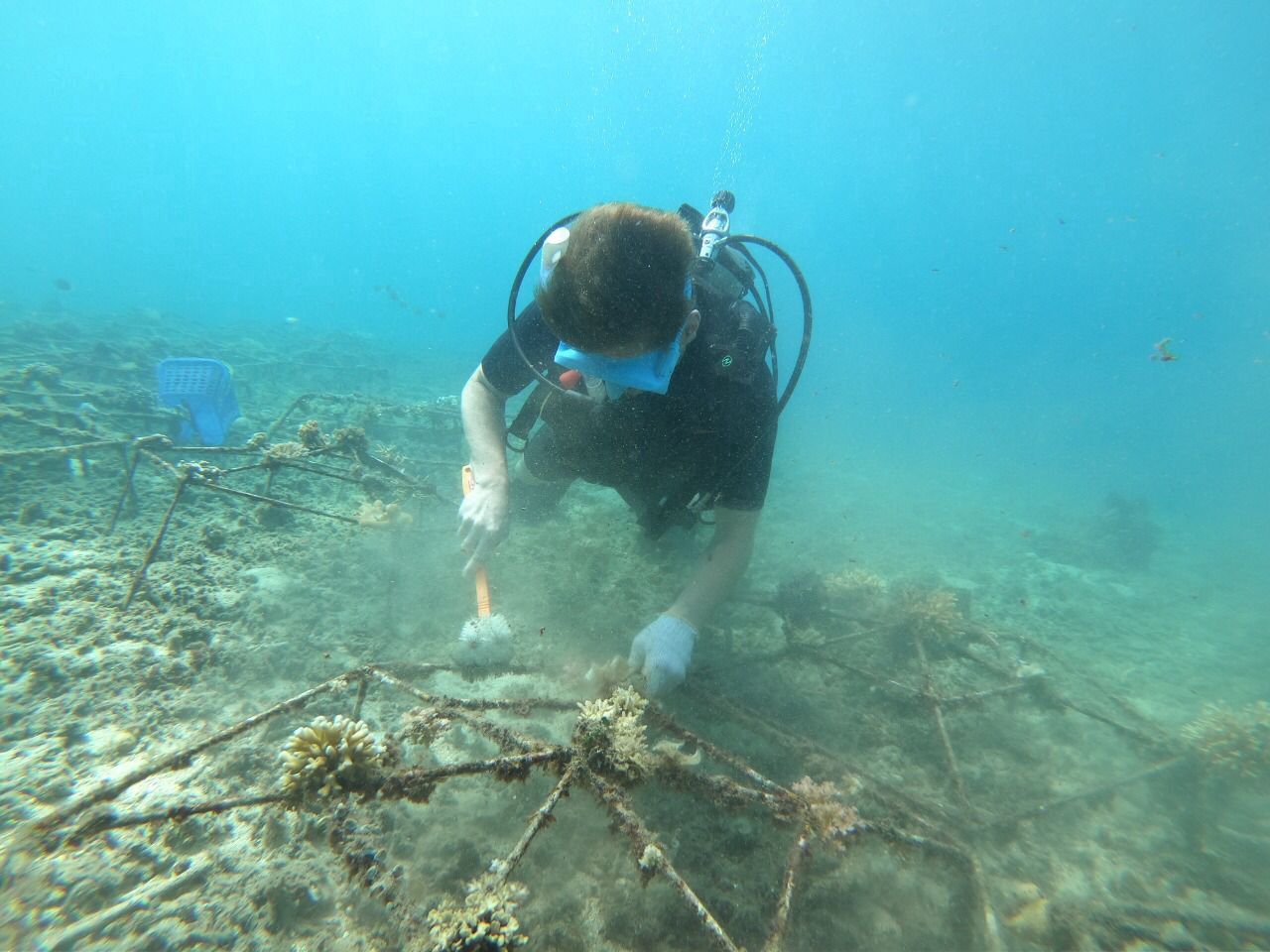 Jaap van den Langenberg