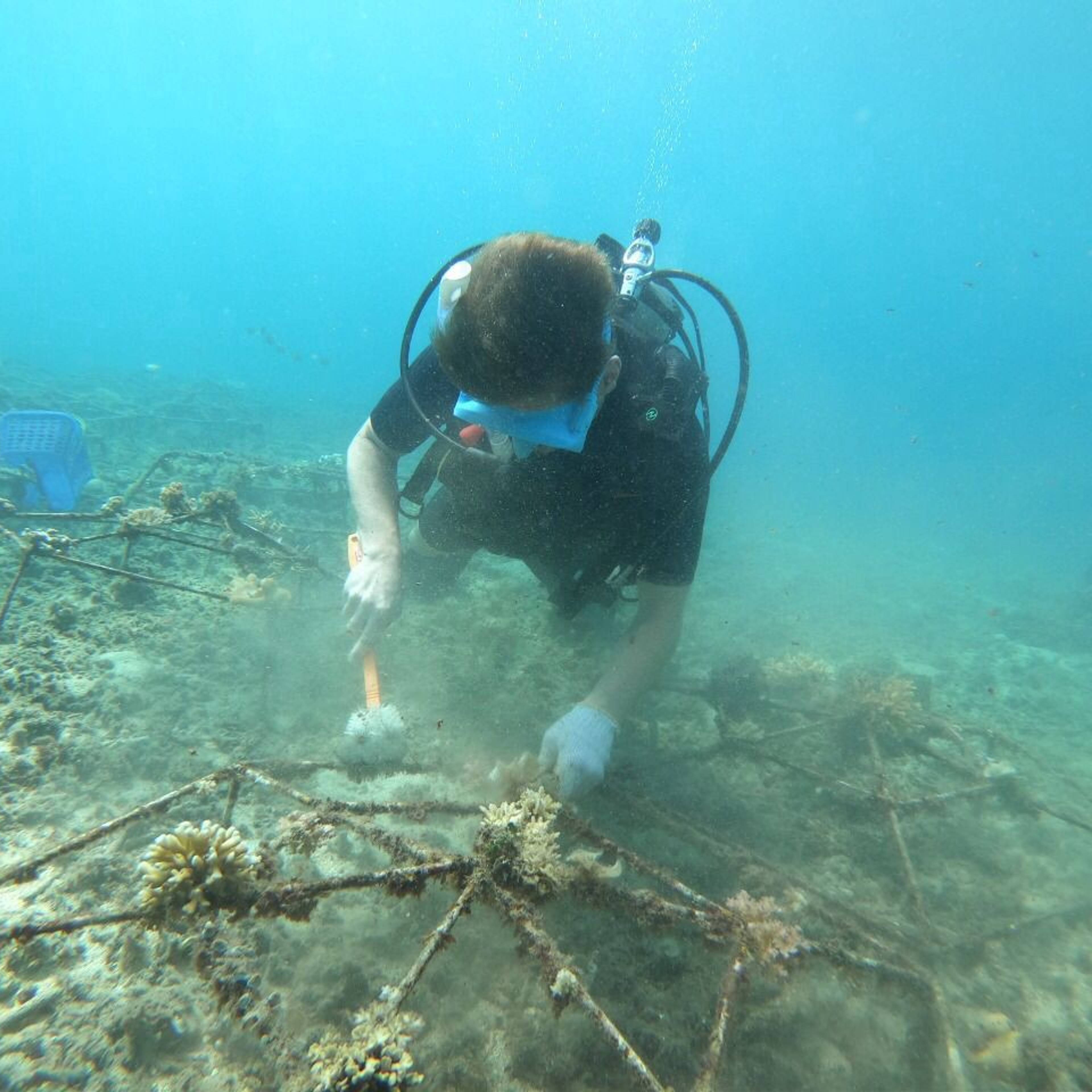 Jaap van den Langenberg