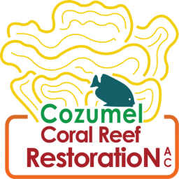 Cozumel Coral Reef Restoration