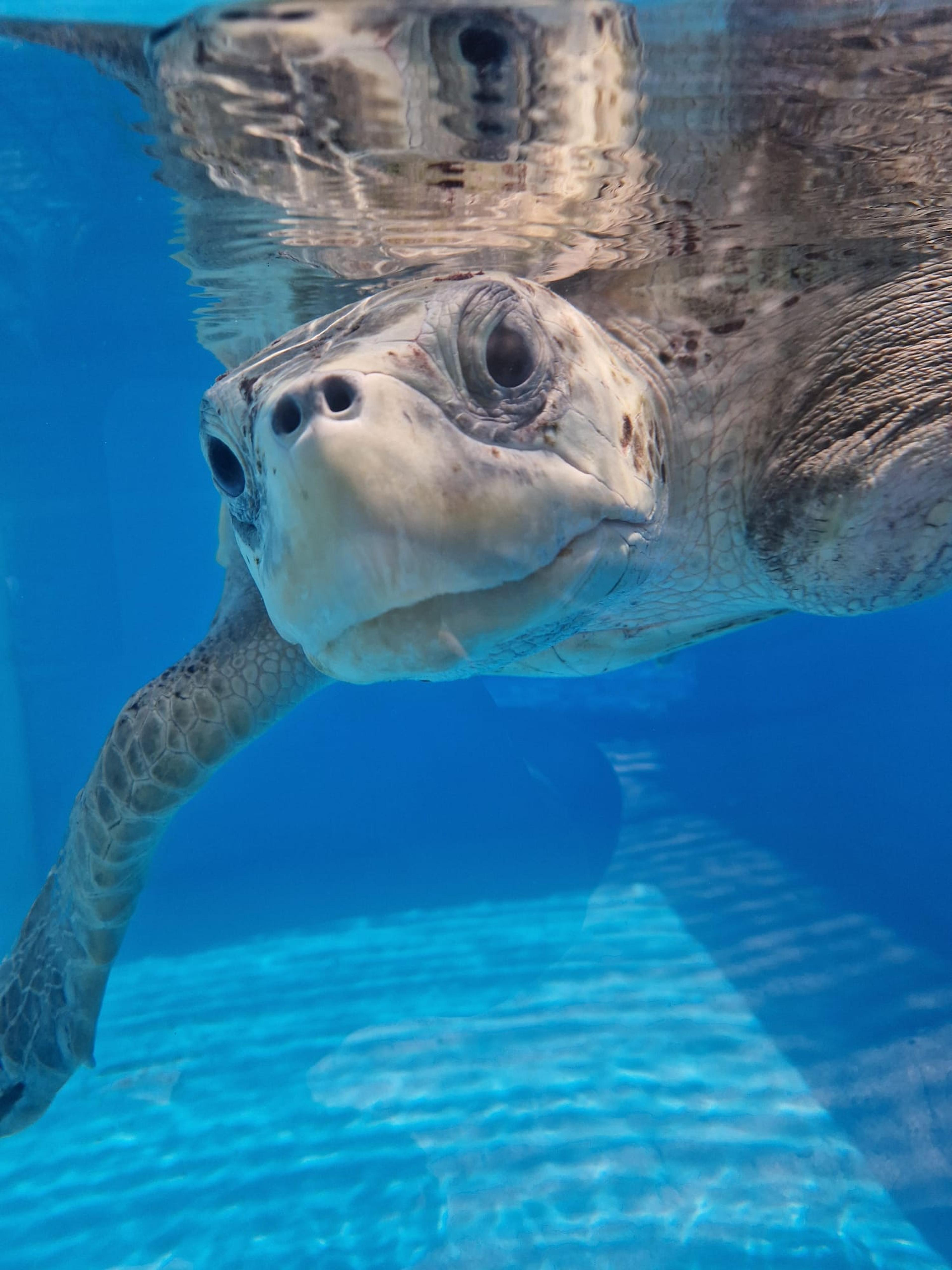 Asia region destinations