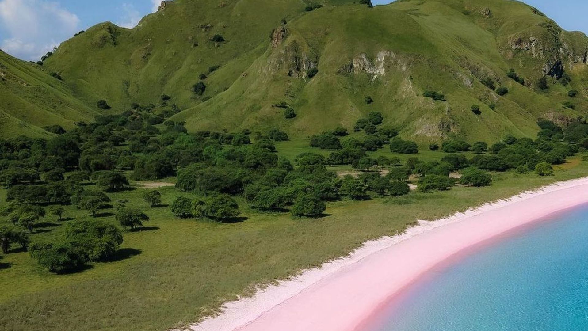 Where to next? Plan your Komodo escape