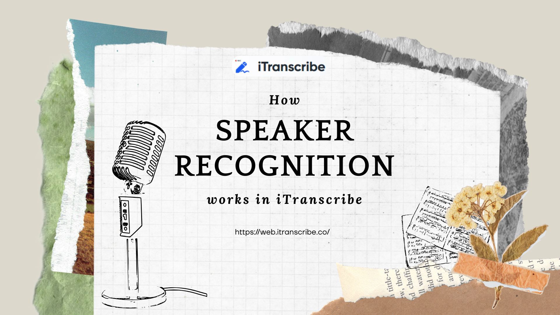 Tutorial: How Speaker Recognition Works in iTranscribe