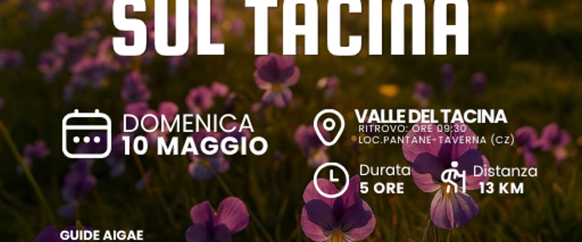 La Finestra del Tacina