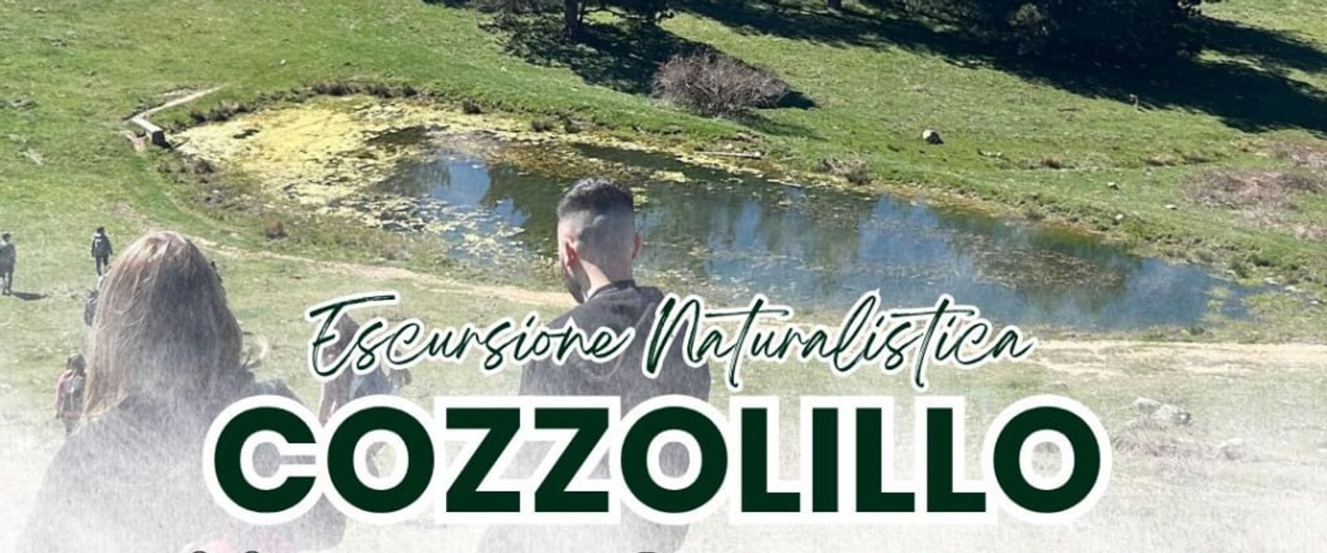 Cozzolillo