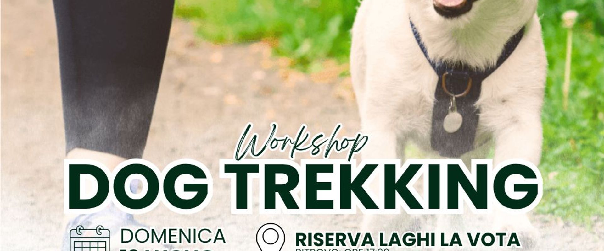 Dog Trekking