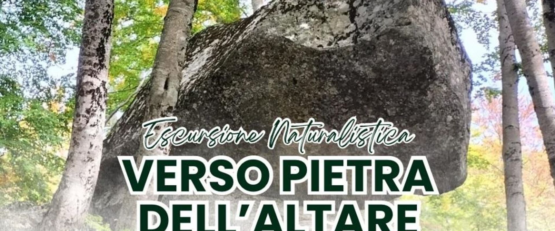 PIETRA DELL'ALTARE 🌿