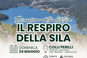 Colli Perilli