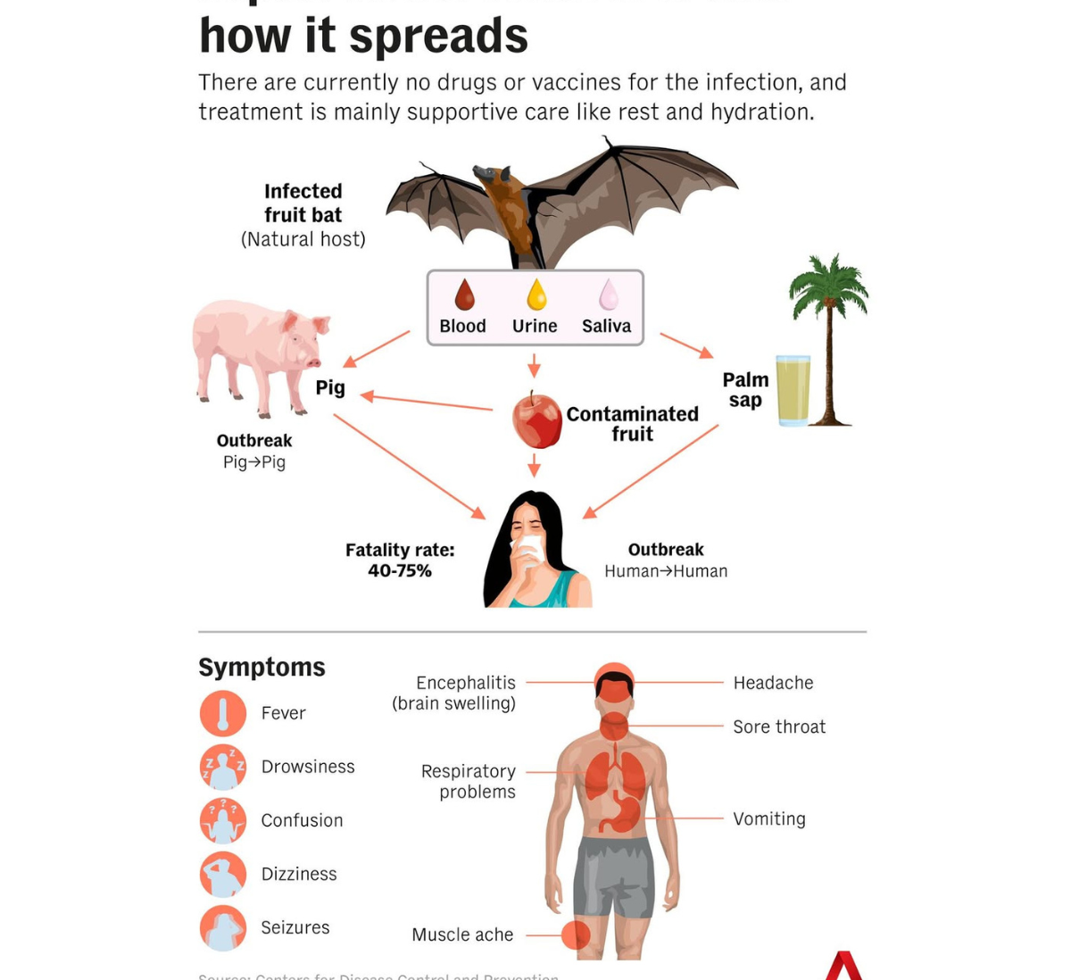 Nipah virus infographic detailing its spread from fruit bats to pigs and humans (via contaminated fruit/palm sap), human-to-human transmission, 40-75% fatality rate, and symptoms including fever, encephalitis, and respiratory problems.