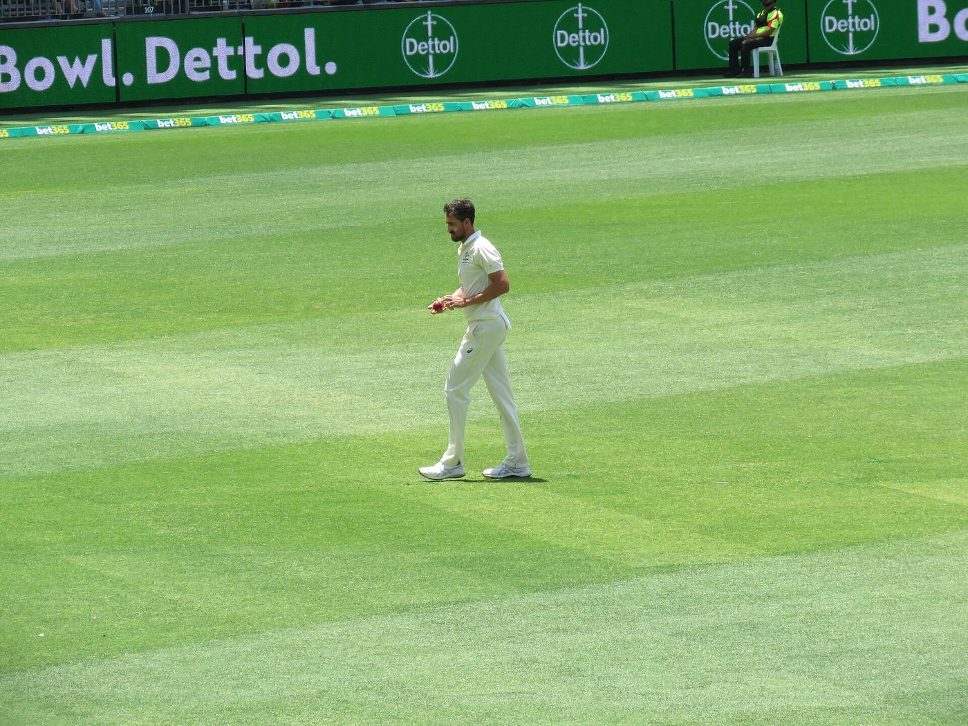Australia fast bowler Mitchell Starc bowling