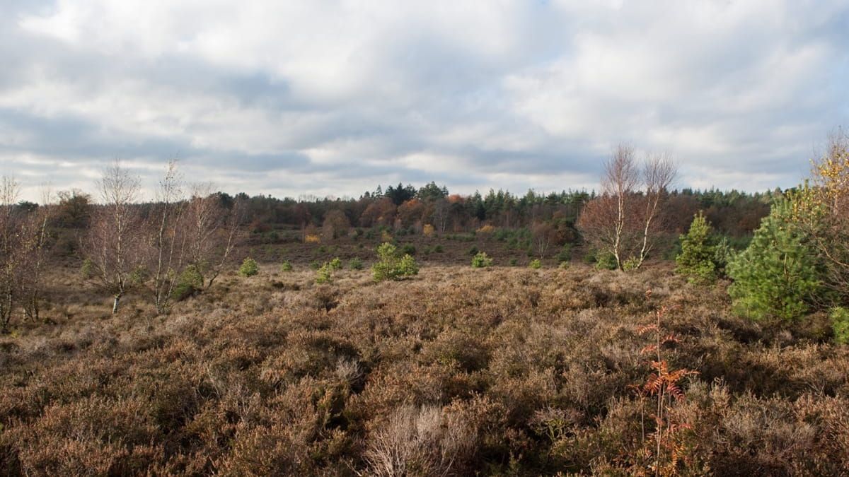 Foto van dit uitlaatgebied