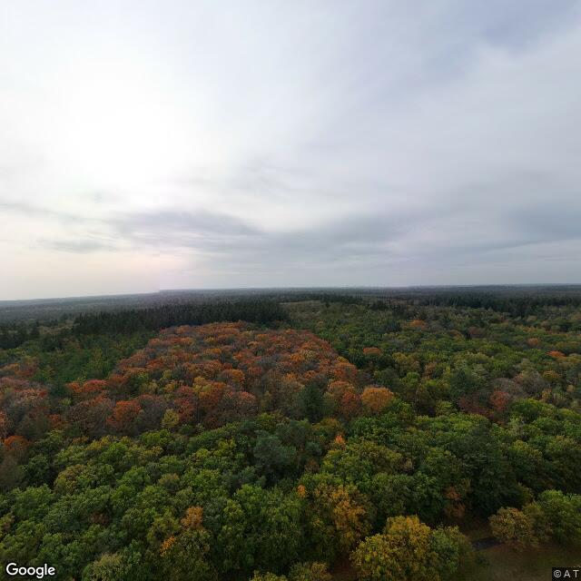 Wandelroute Vijver uitlaatgebied