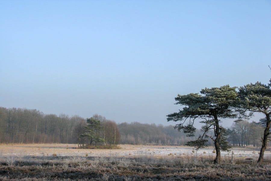 Foto van dit uitlaatgebied