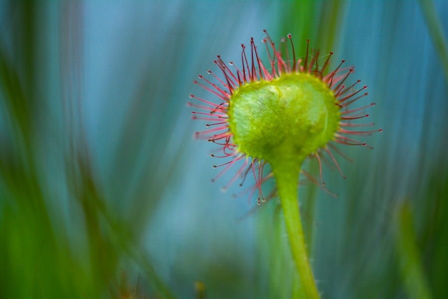 Foto van dit uitlaatgebied